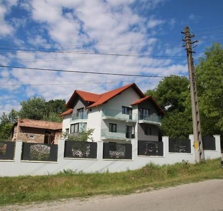 Pensiunea Albero Curtea de Argeş Εξωτερικό φωτογραφία